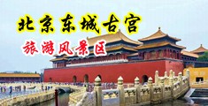 日韩骚穴插插中国北京-东城古宫旅游风景区